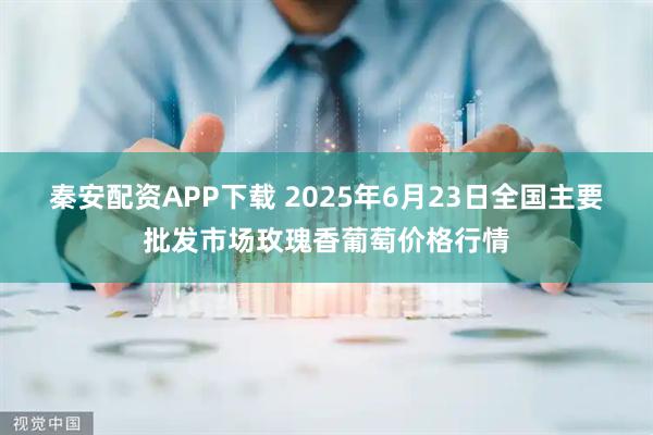秦安配资APP下载 2025年6月23日全国主要批发市场玫瑰香葡萄价格行情