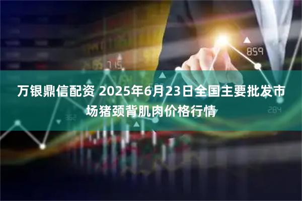 万银鼎信配资 2025年6月23日全国主要批发市场猪颈背肌肉价格行情