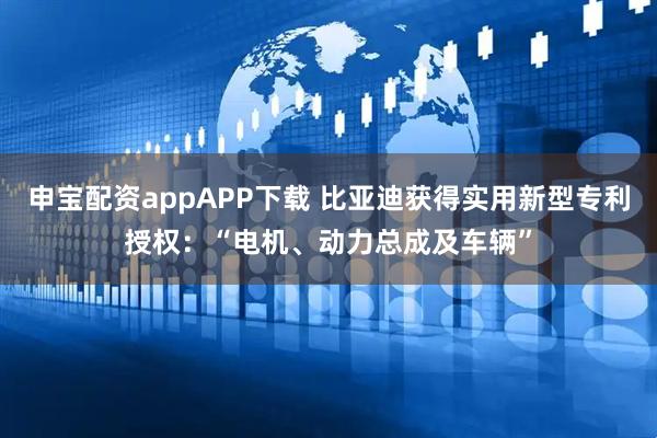 申宝配资appAPP下载 比亚迪获得实用新型专利授权：“电机、动力总成及车辆”